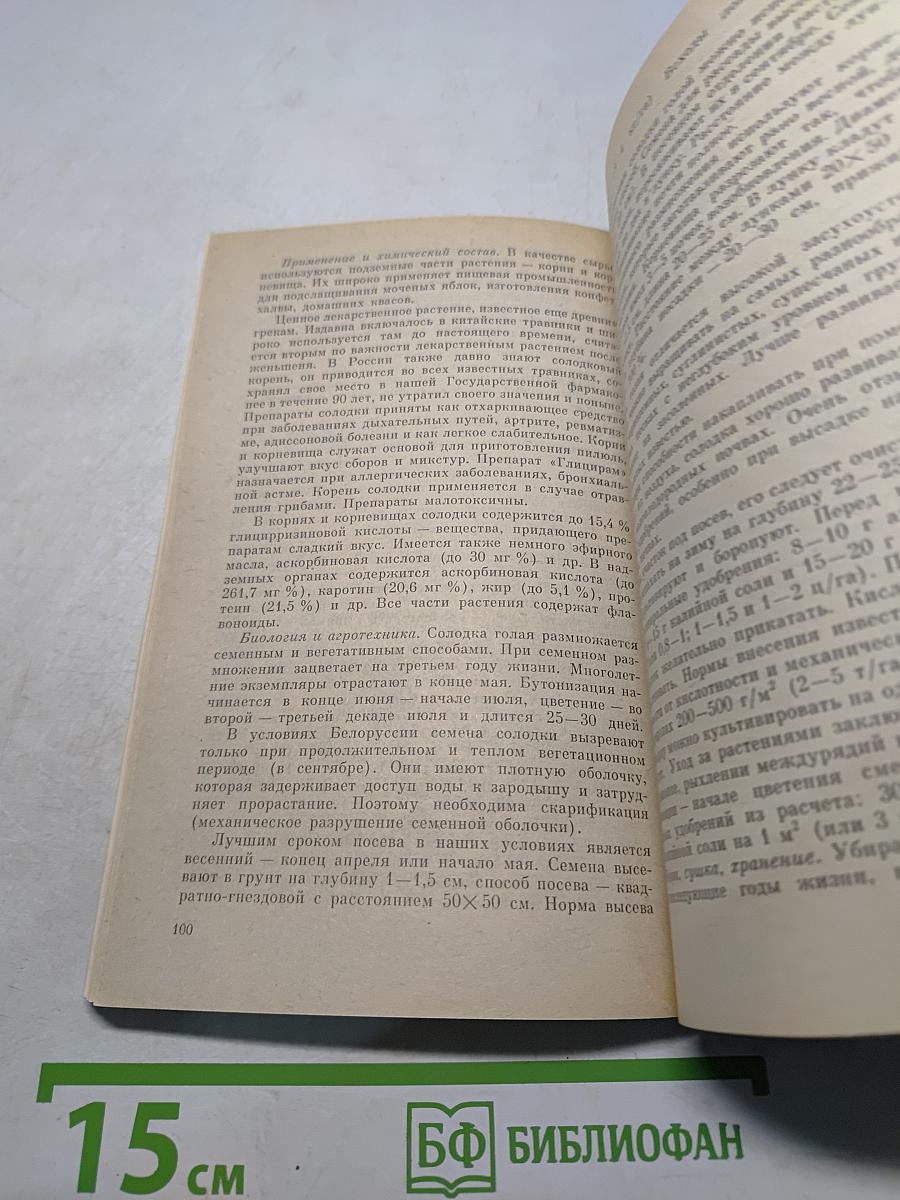 Пряно-ароматические растения