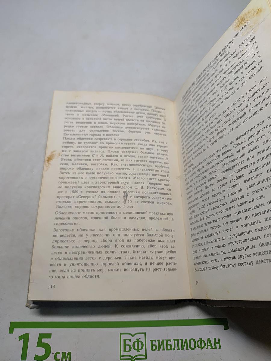 Зеленая аптека