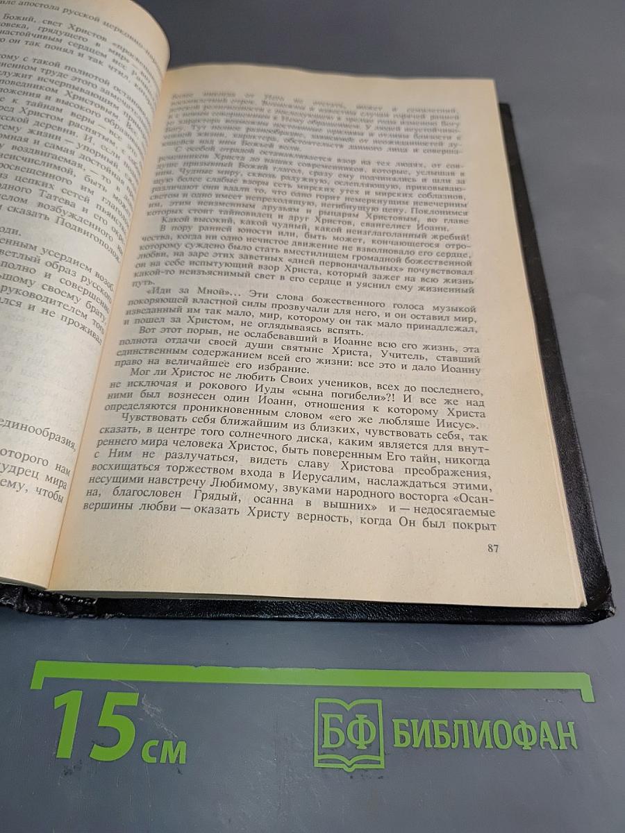 Идеалы христианской жизни