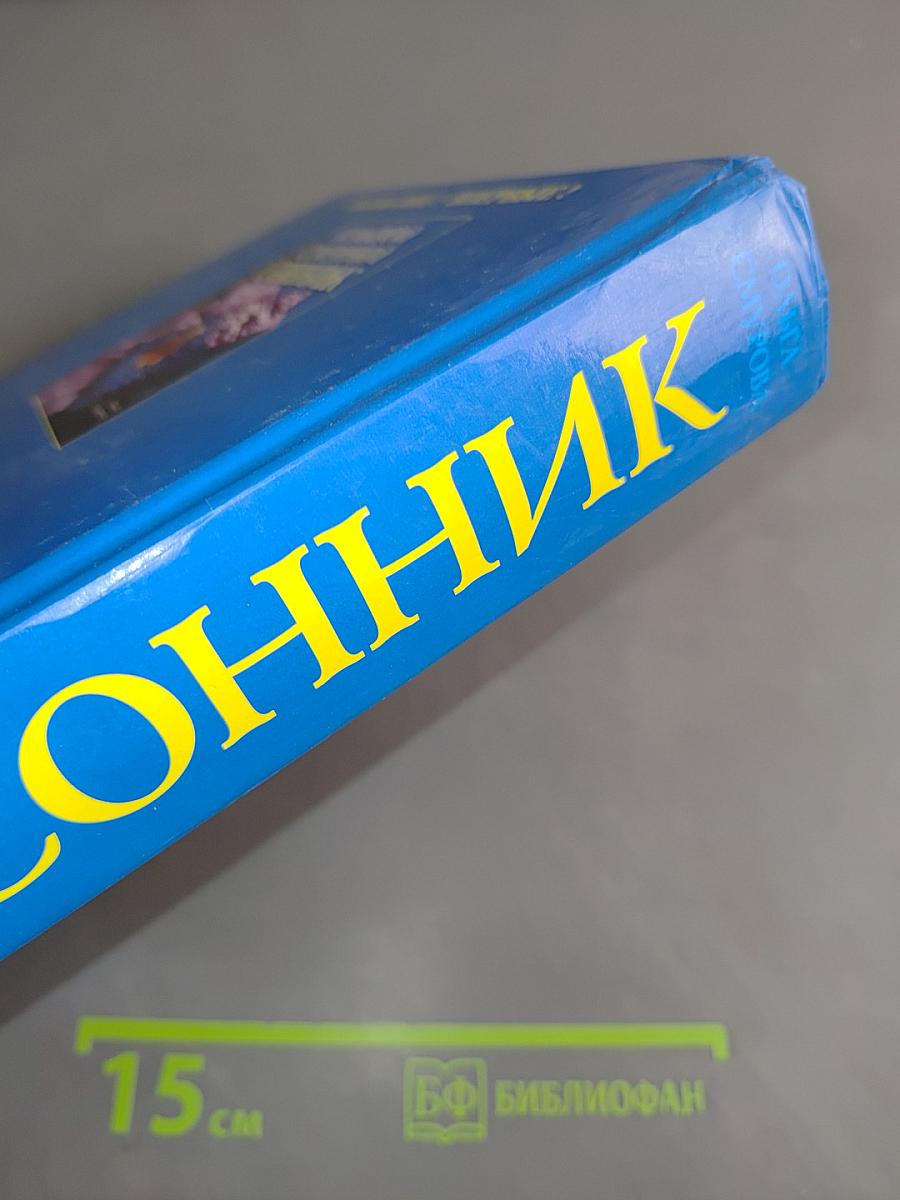 Большой семейный сонник