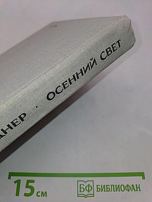 Осенний свет