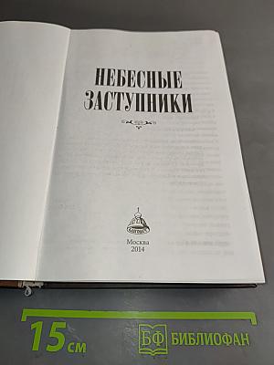 Молитвослов. Небесные заступники
