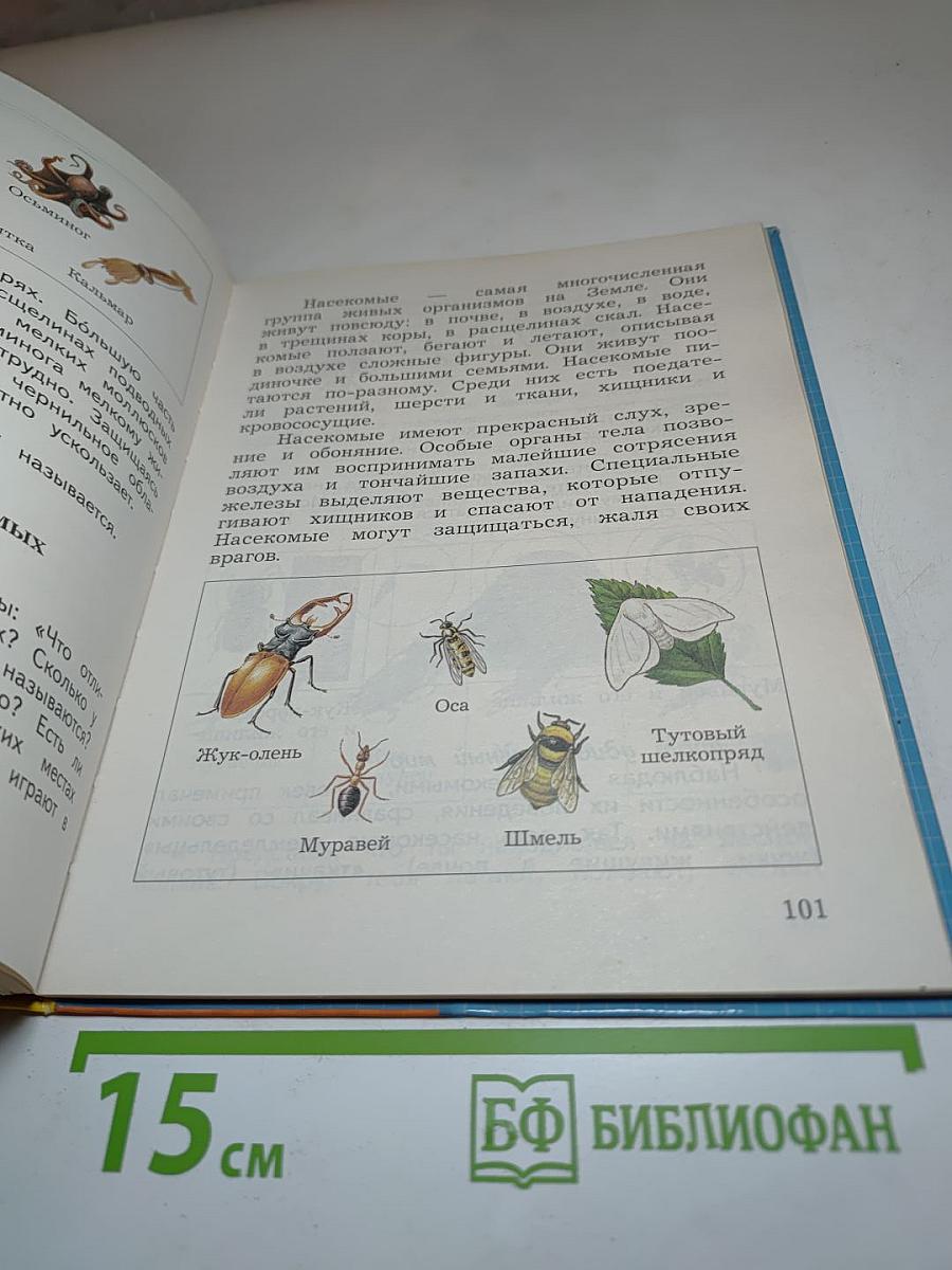 Окружающий мир 3 класс. Часть первая
