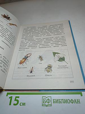 Окружающий мир 3 класс. Часть первая