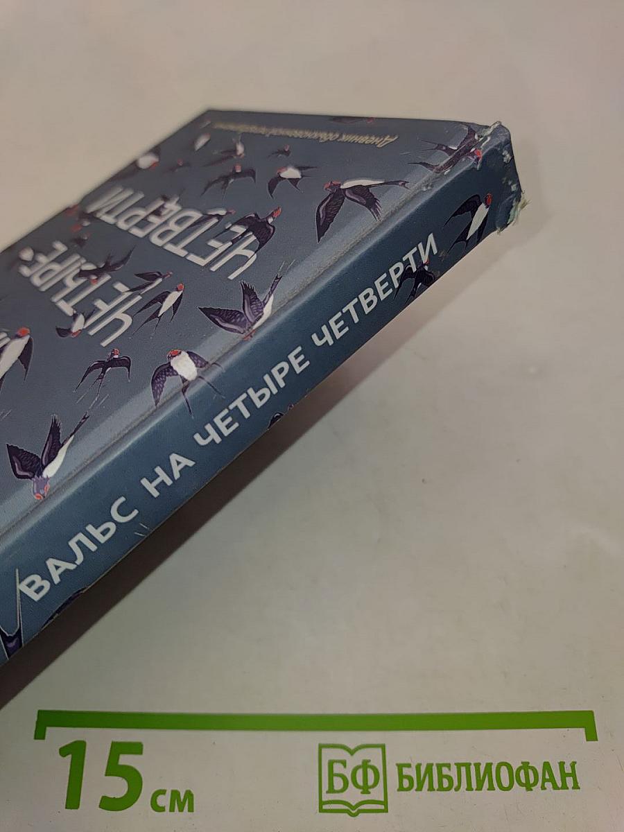 Вальс на четыре четверти. Дневник обыкновенной петербурженки