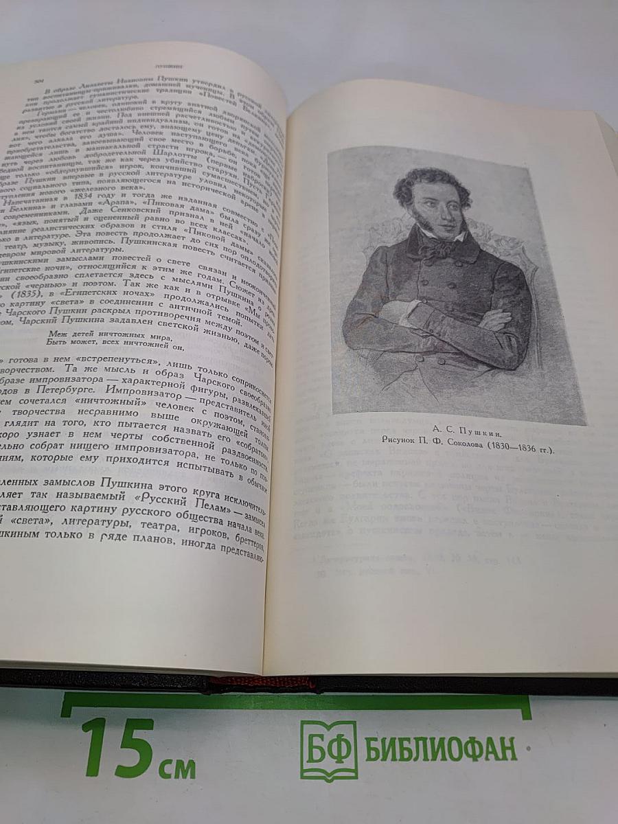 История русской литературы. Том VI. Литература 1820-1830-х годов