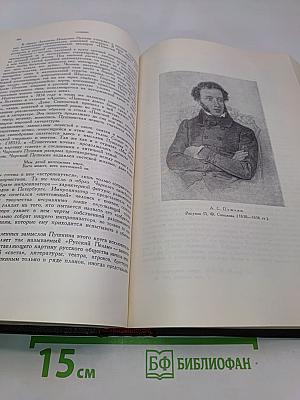 История русской литературы. Том VI. Литература 1820-1830-х годов