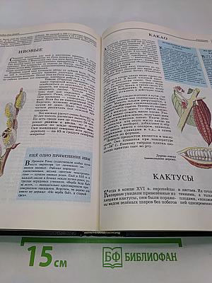 Энциклопедия для детей. Биология. Том 2