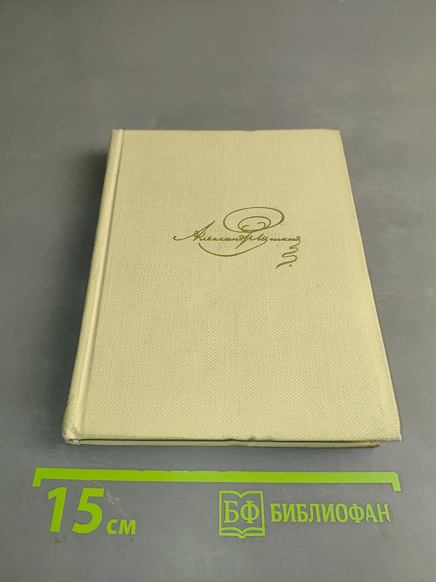 Евгений Онегин. Собрание сочинений в пяти томах. Том пятый