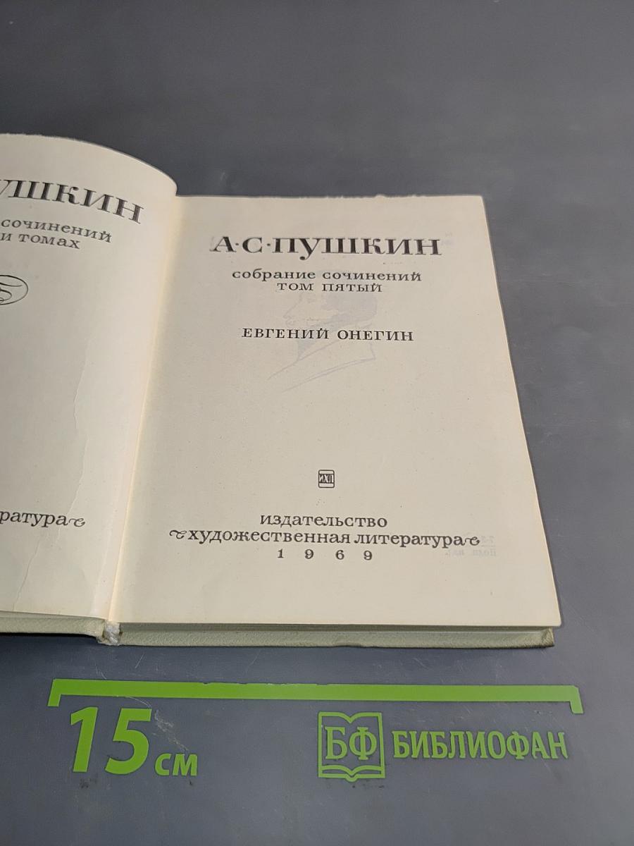 Евгений Онегин. Собрание сочинений в пяти томах. Том пятый