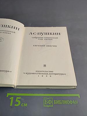 Евгений Онегин. Собрание сочинений в пяти томах. Том пятый