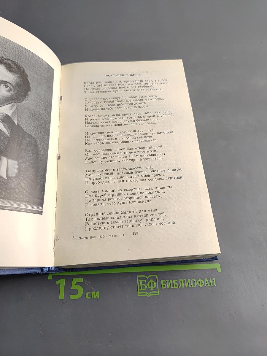 Поэты 1820-1830-х годов. Том Первый