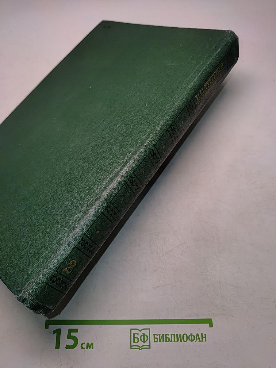 Сочинения. Том второй. Повести и романы 1860-1876
