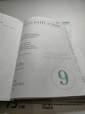 Русский язык 9 класс
