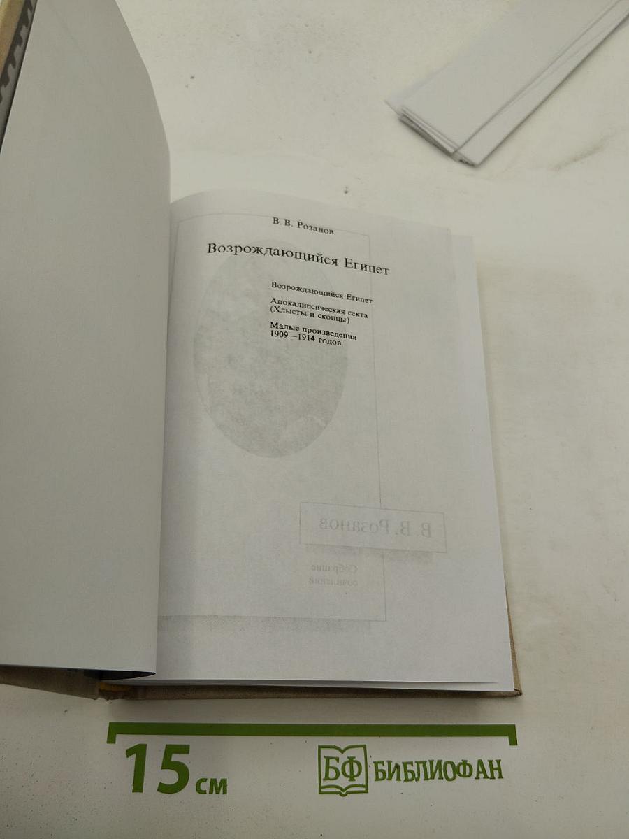 Возрождающийся Египет