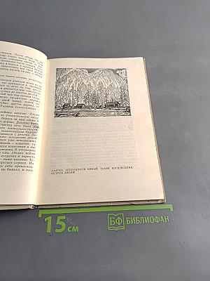 В диком краю