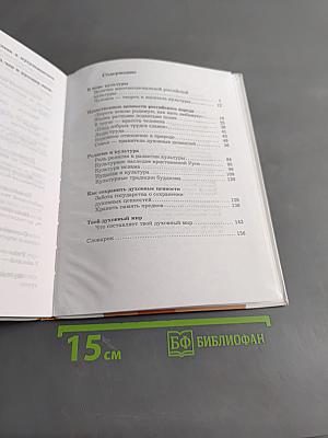 Основы духовно-нравственной культуры народов России. 5 класс