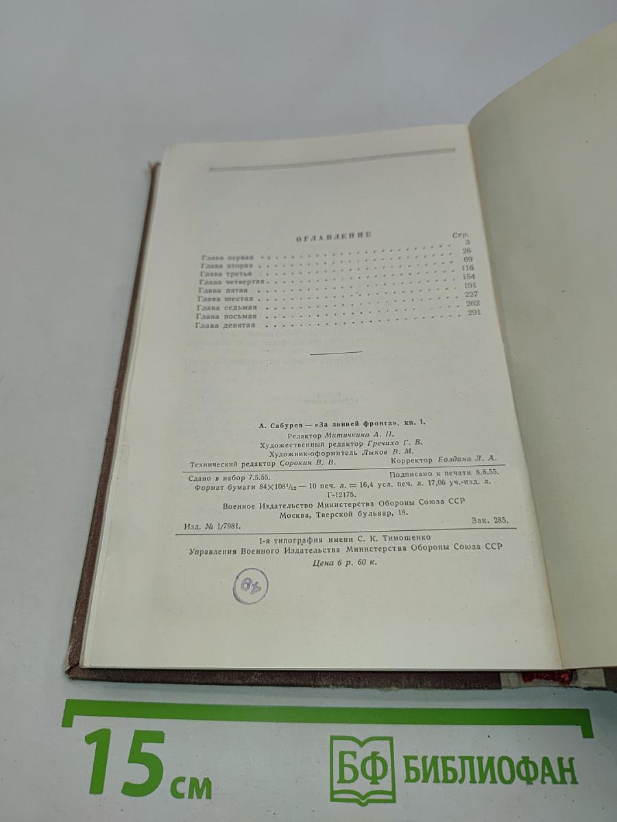 За линией фронта (Партизанские записки). Книга первая. Партизанский край