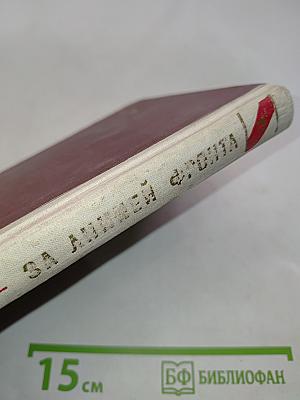 За линией фронта (Партизанские записки). Книга первая. Партизанский край