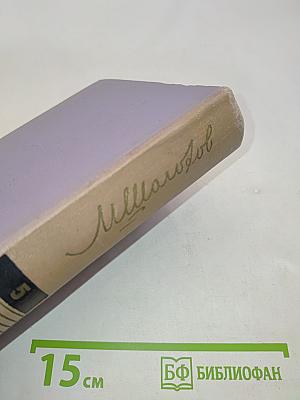 Тихий Дон. Роман в четырех книгах. Книга четвертая