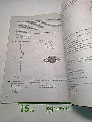 Биология. ОГЭ 2024. Типовые варианты экзаменационных заданий