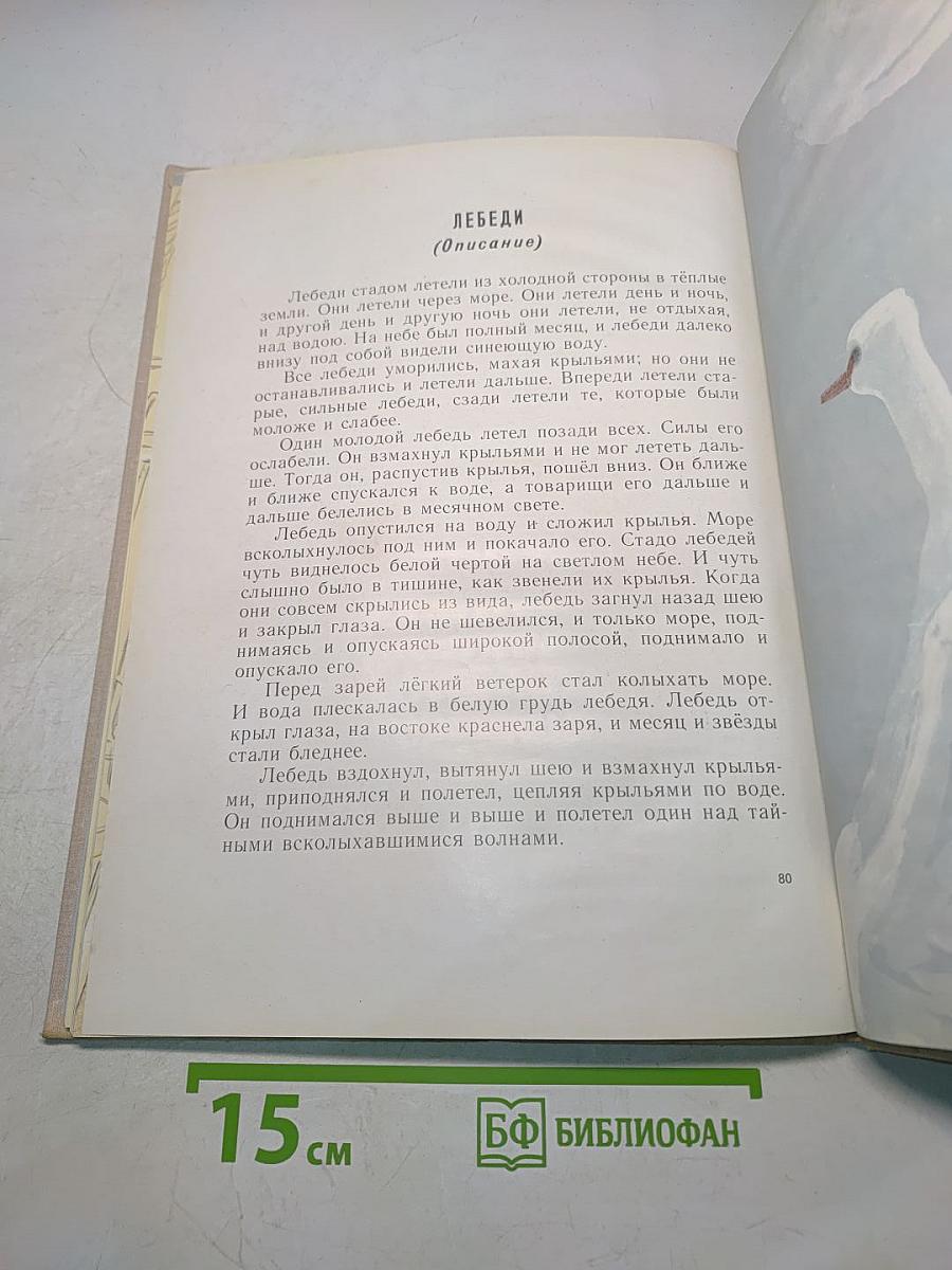 Три калача и одна баранка