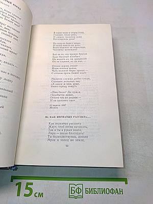 Поэты 1820-1830-х годов. Том второй