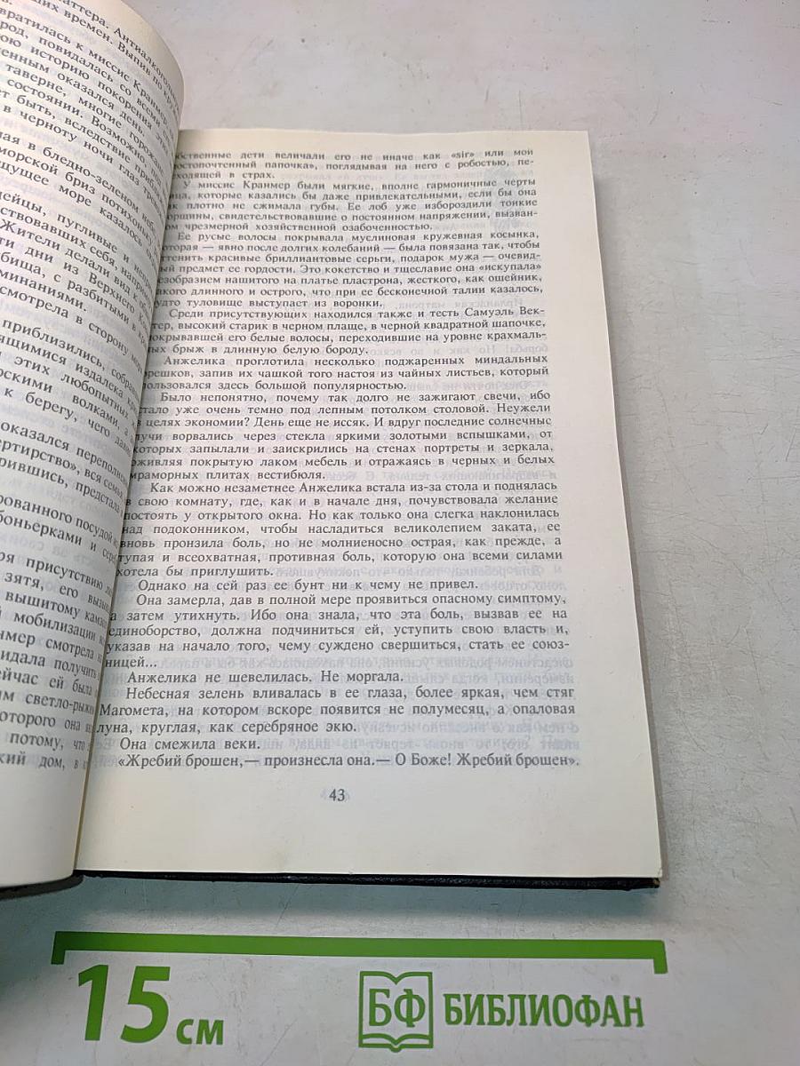 Анжелика. Заключительный роман. Книга II