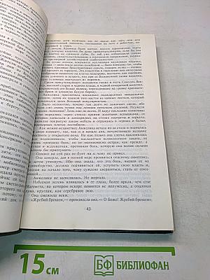 Анжелика. Заключительный роман. Книга II