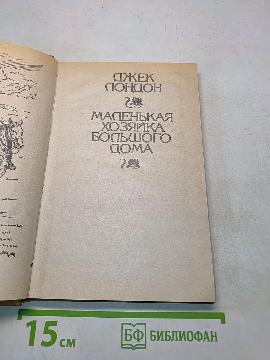 Маленькая хозяйка большого дома
