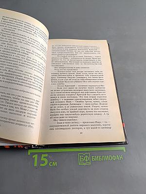 Икона для бешеного 2