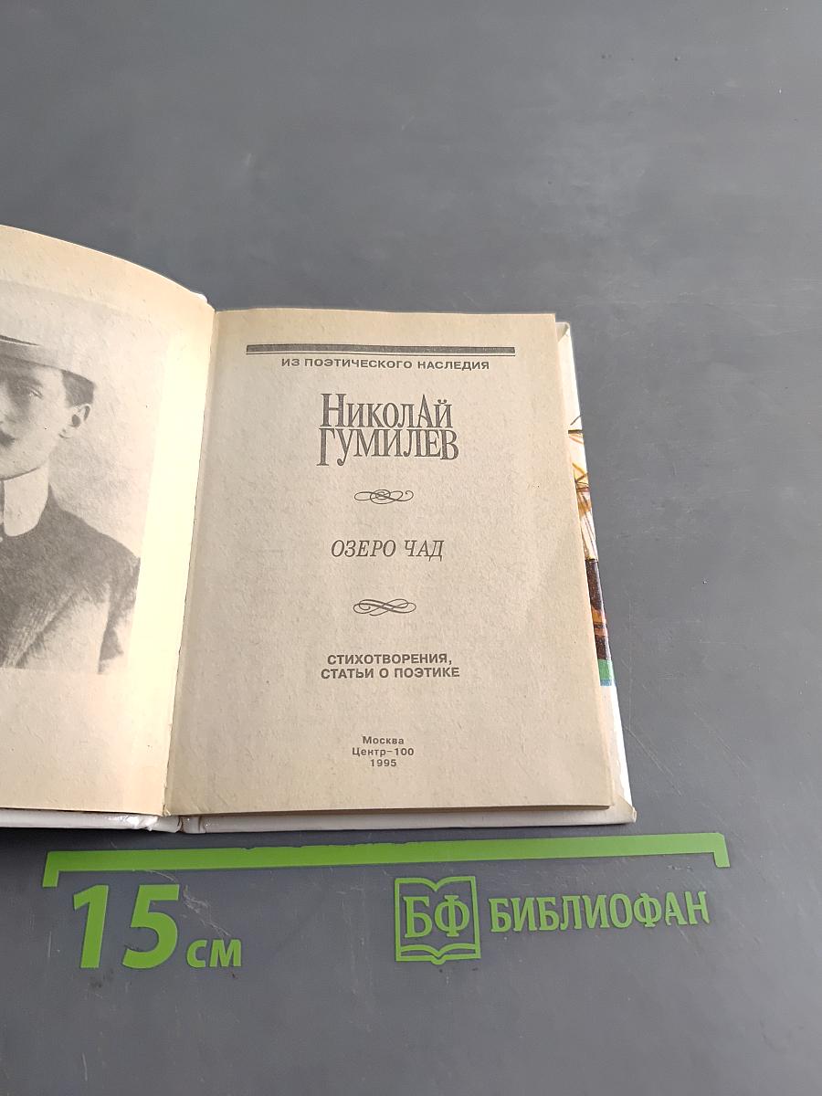 Озеро Чад. Стихотворения, статьи о поэтике