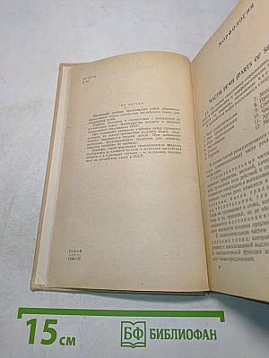 Грамматика английского языка