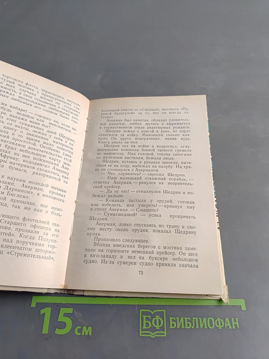 Северная повесть