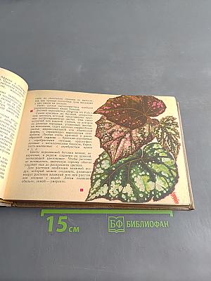 Комнатные растения