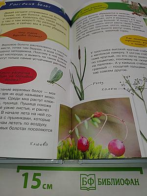 Большая энциклопедия юного эколога