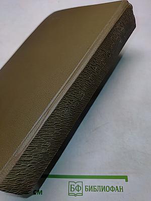 Собрание сочинений. Том третий. Повести и рассказы 1857-1863 гг.