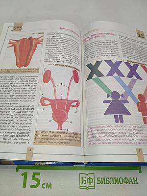 10000 советов для тех, кто ждет ребенка