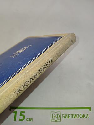 Впередсмотрящий