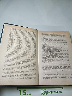 Каменный пояс. Книга вторая. Наследники