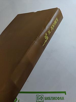 Виконт де Бражелон, Том 2 (Части 3, 4)