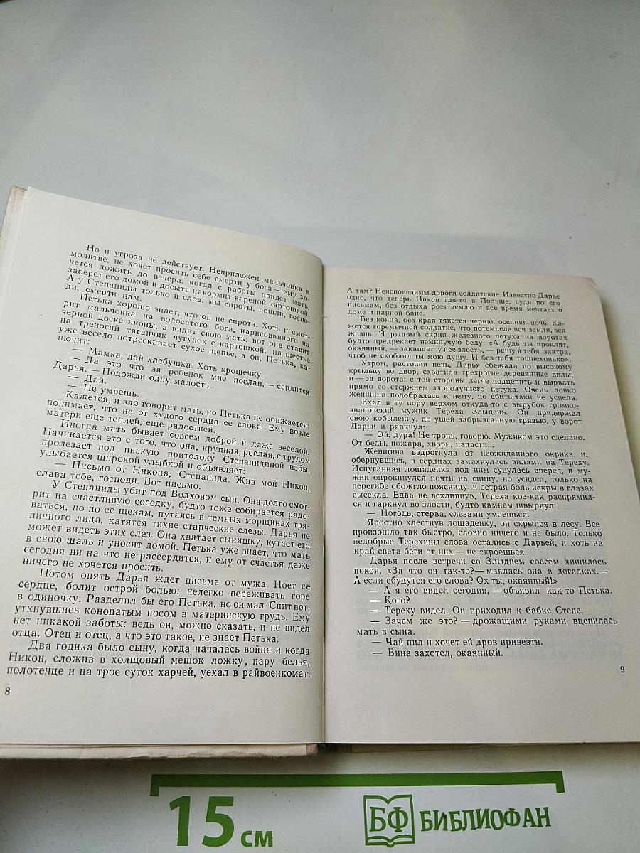 Земная твердь