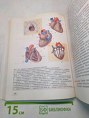Биология. Человек. 8 класс