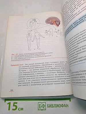 Биология. Человек. 8 класс
