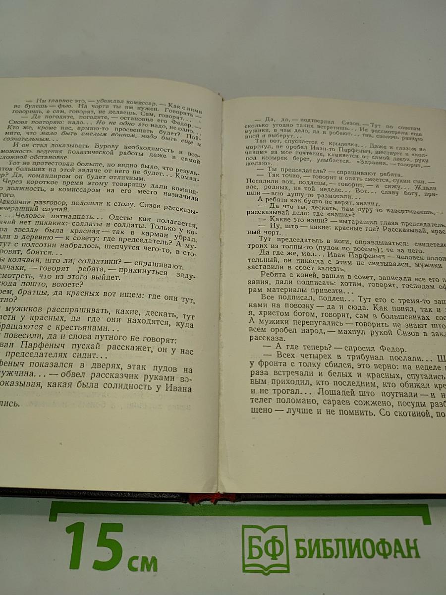 Чапаев. Том первый