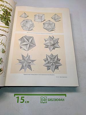 Малая Советская Энциклопедия. Том 6. Мишёры - Первомайка