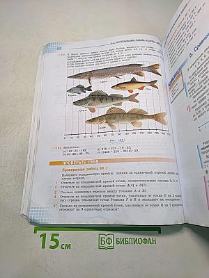 Математика 5 класс Часть 1