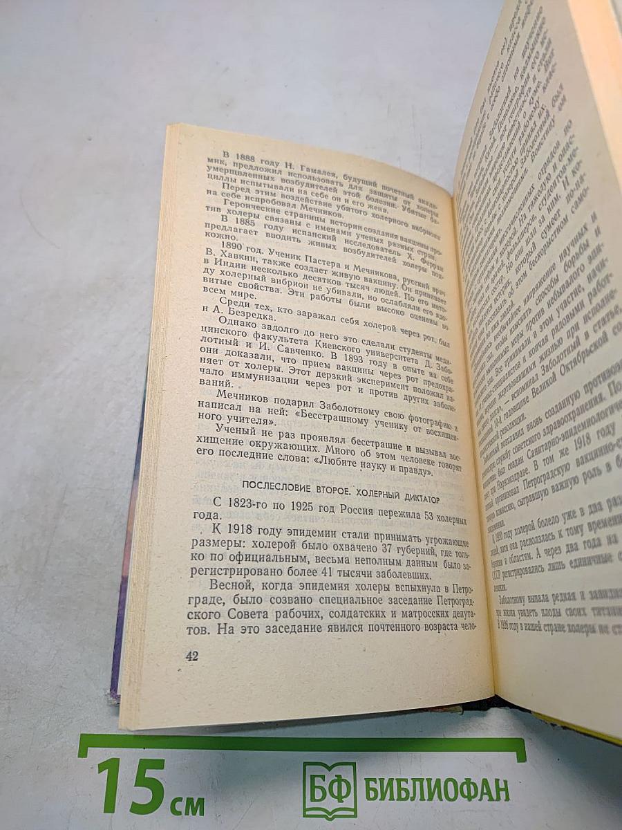 Блики на портрете