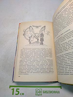 Блики на портрете