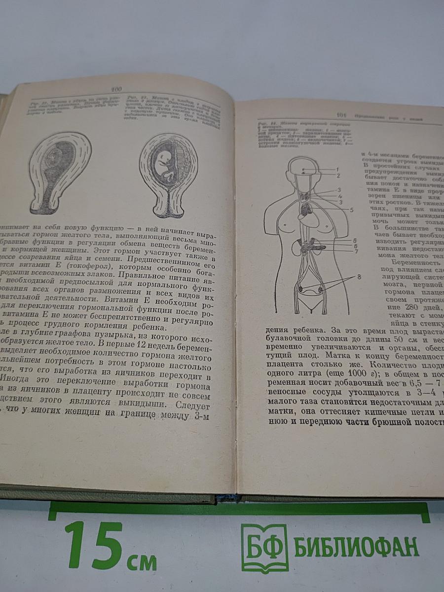Новая книга о супружестве